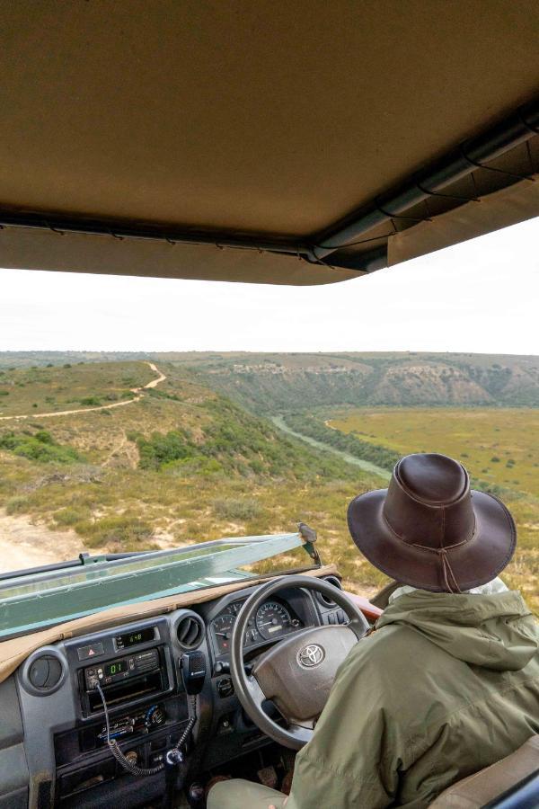 Woodbury Lodge - Amakhala Game Reserve Exterior foto