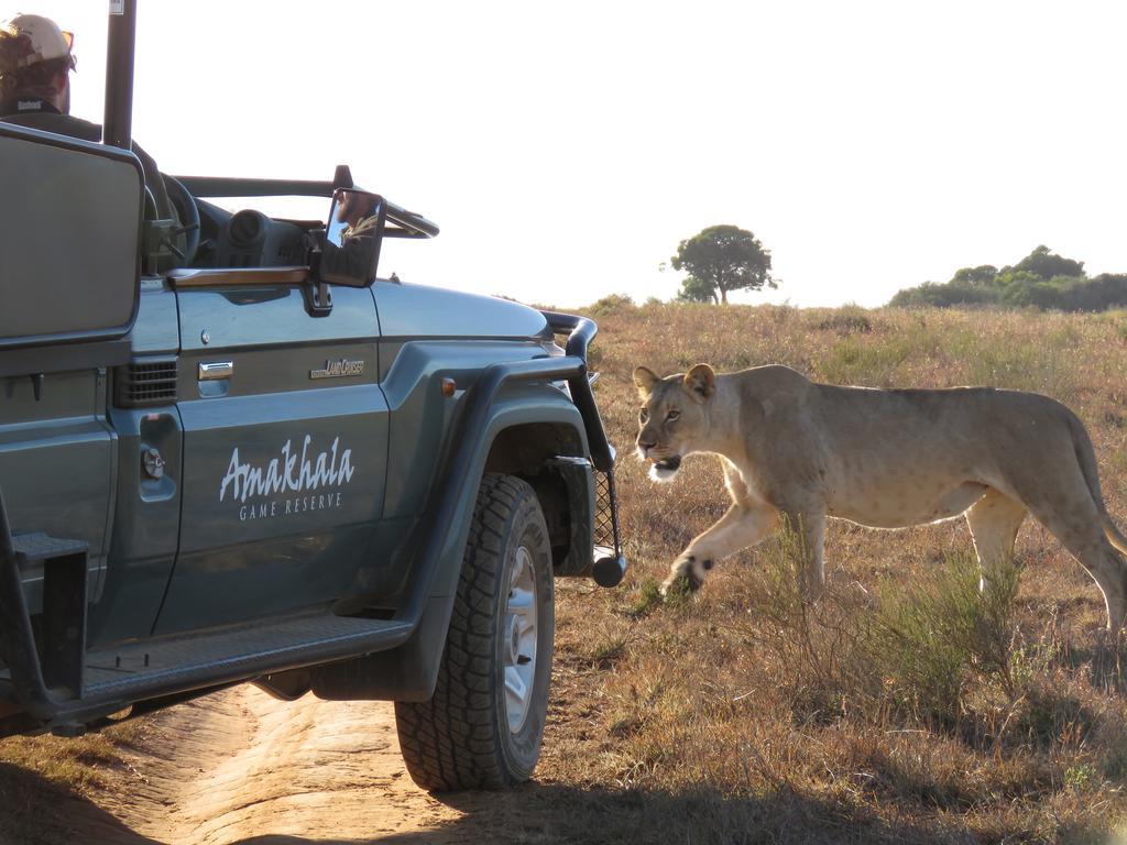 Woodbury Lodge - Amakhala Game Reserve Exterior foto